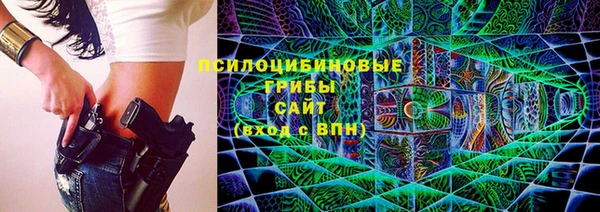 дживик Армянск