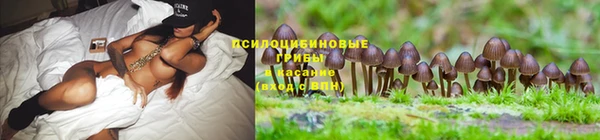 кокаин Аркадак